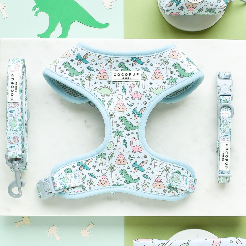 Dinopaws Adjustable Neck Harness Lead Collar Bundle