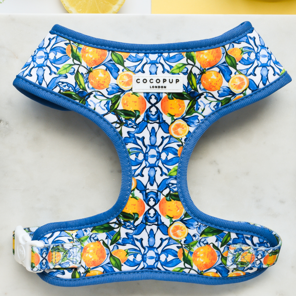 Amalfi Lemon Adjustable Neck Dog Harness | Cocopup London