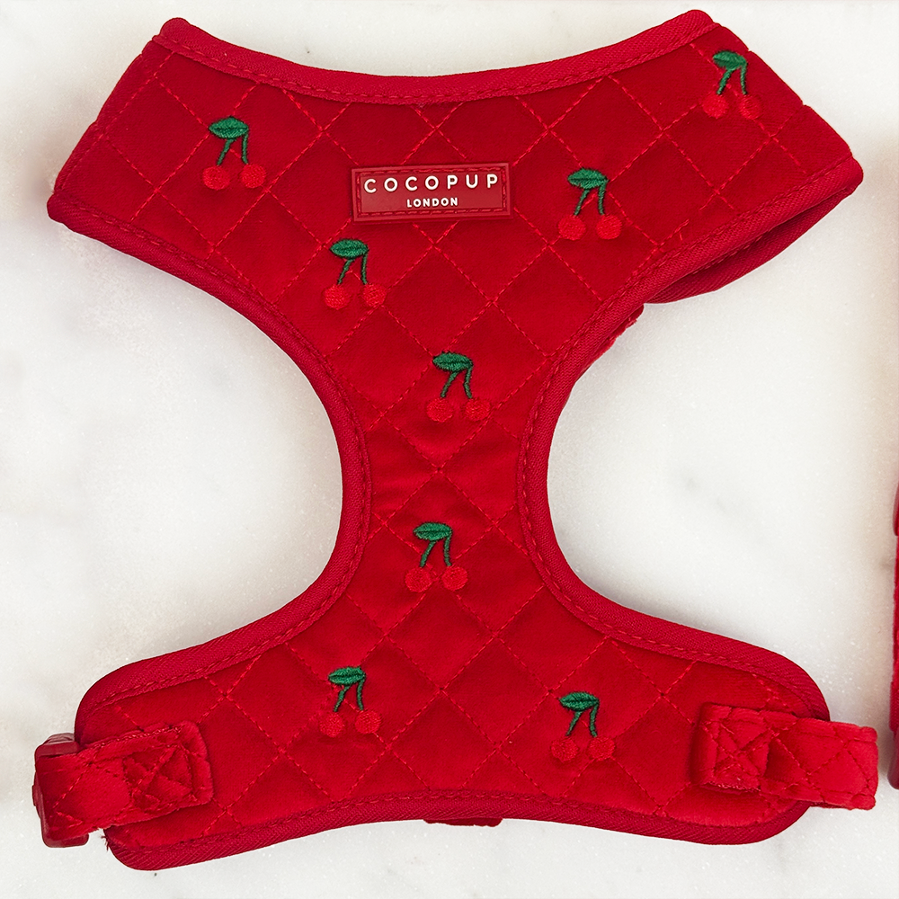 Cherry Velvet Crush Adjustable Neck Dog Harness | Cocopup London