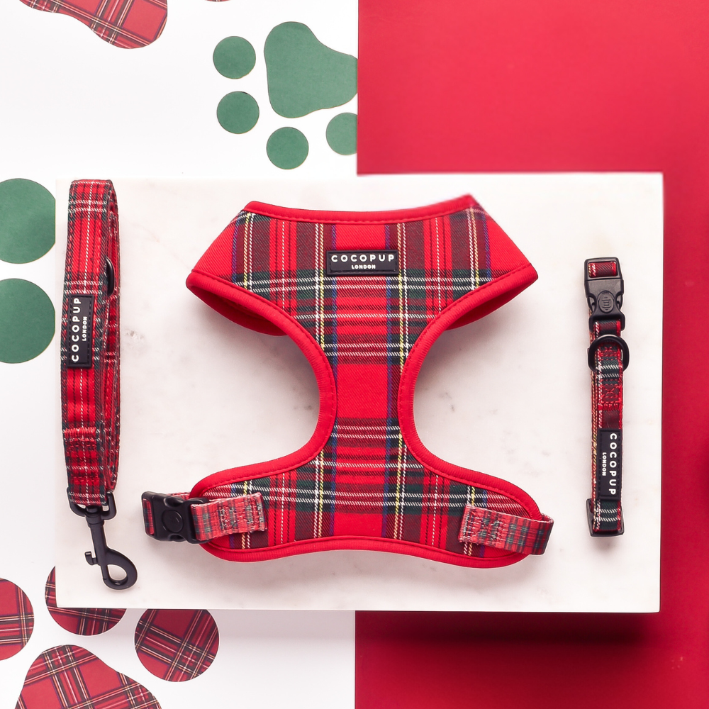 Tartan Dog Harness, Lead Collar Bundle Cocopup London