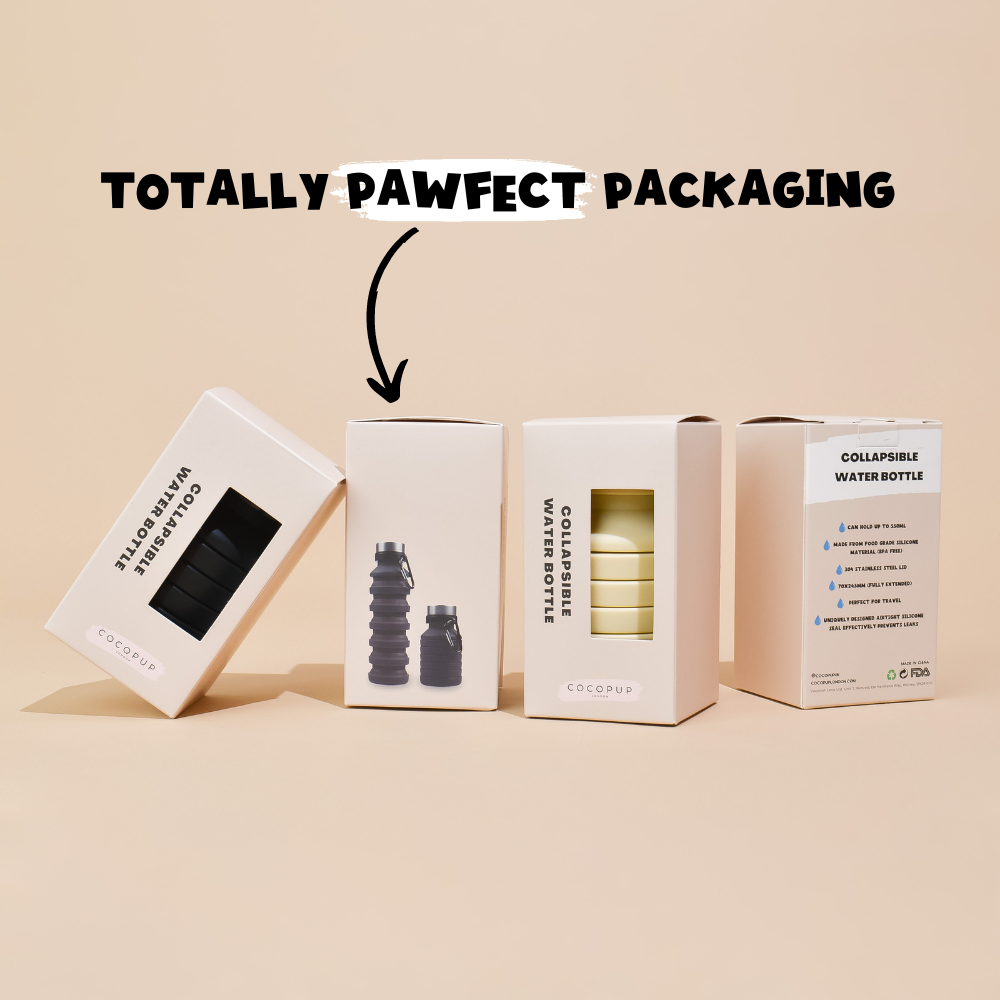 Collapsible Water Bottle - Black