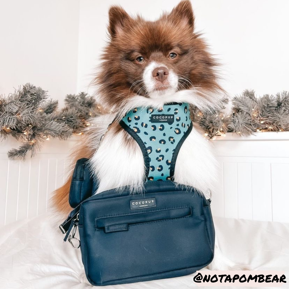 Dog Walking Bag - Black