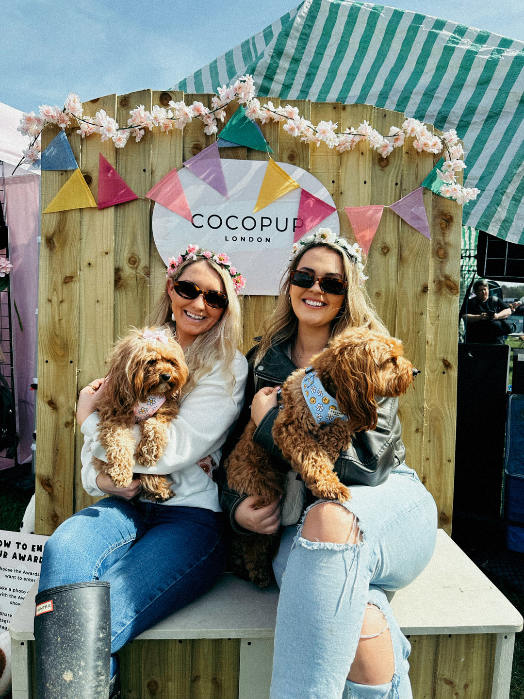 Unleash the Fun: Dog Events to Look Forward to in the UK this Summer!