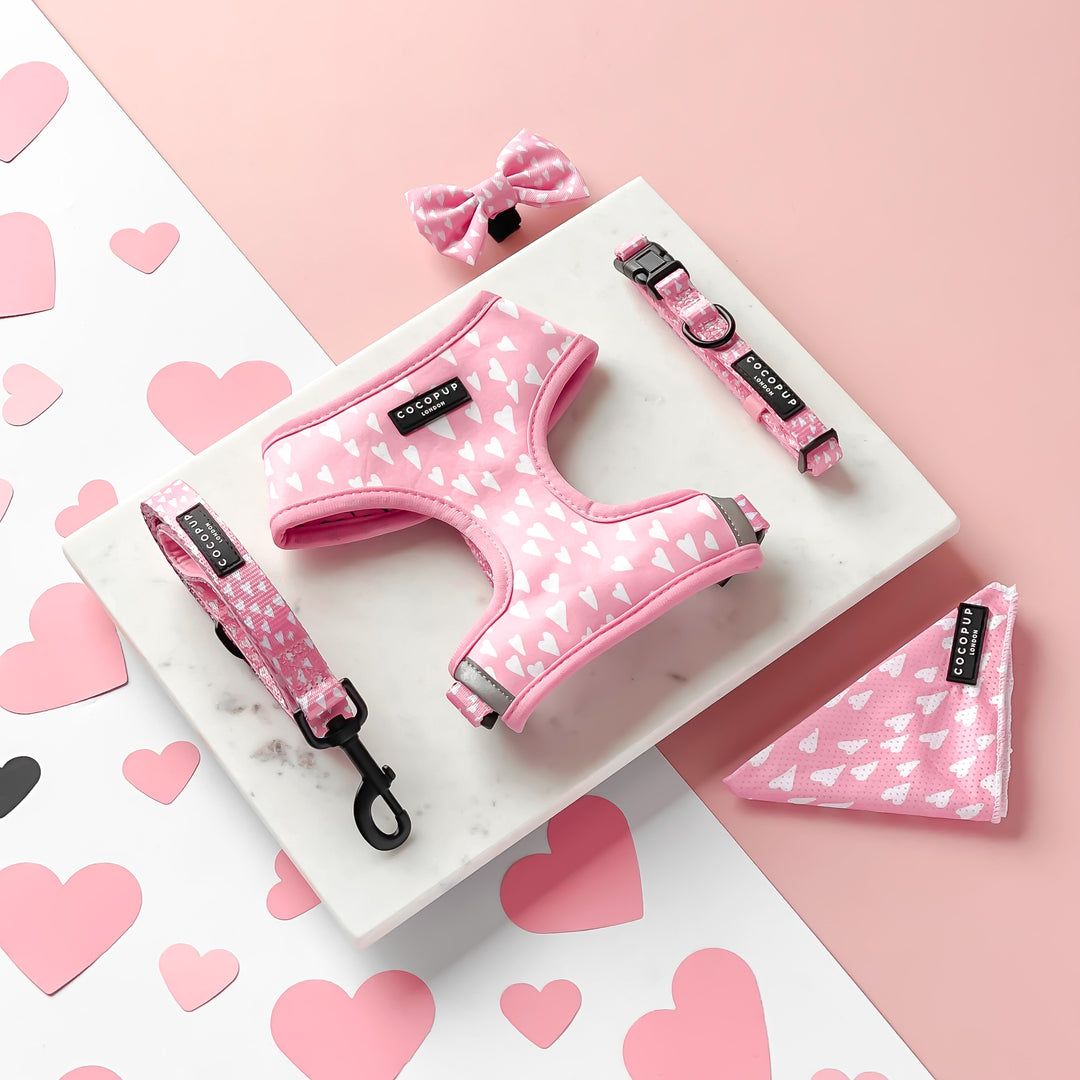 Cupid Pink Hearts