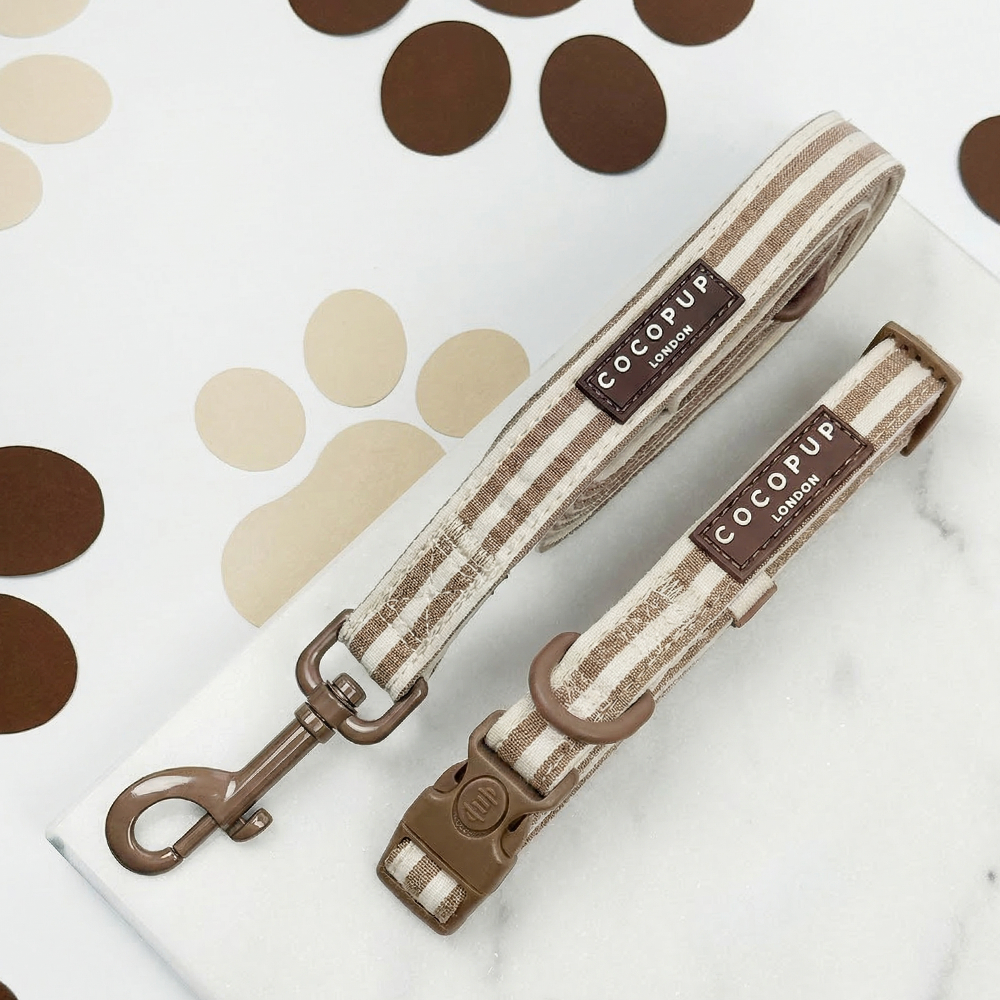 Collar & Lead Bundle