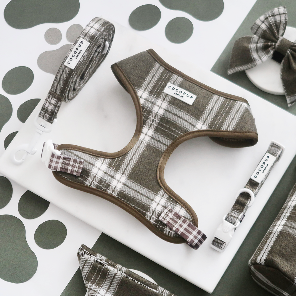 New in Harnesses, Leads & Collars