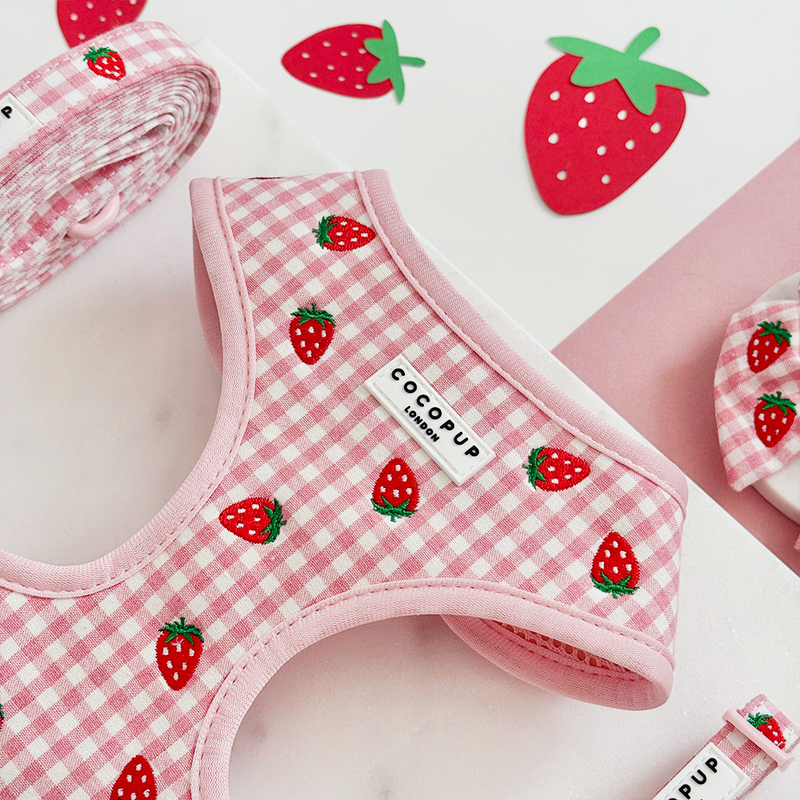 Strawberry Picnic Pup Dog Accessories
