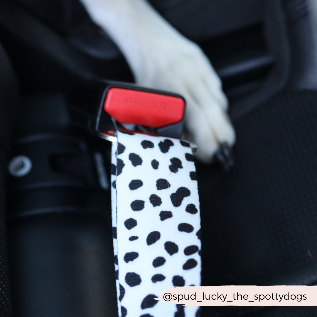 Seat Belt Restraint - Monochrome Spots