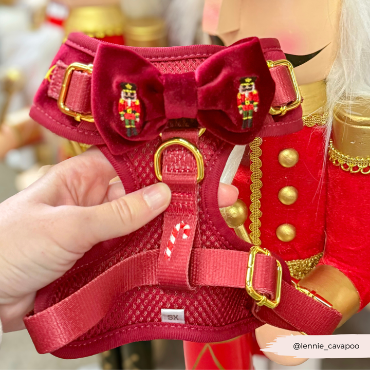 The Muttcracker Adjustable Neck Harness, Lead & Collar Bundle