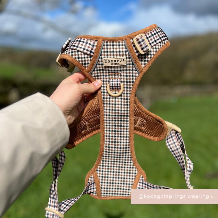 Hand holding Cocopup London Explore Harness in Heritage Check pattern, with green grass and blue sky in the background.