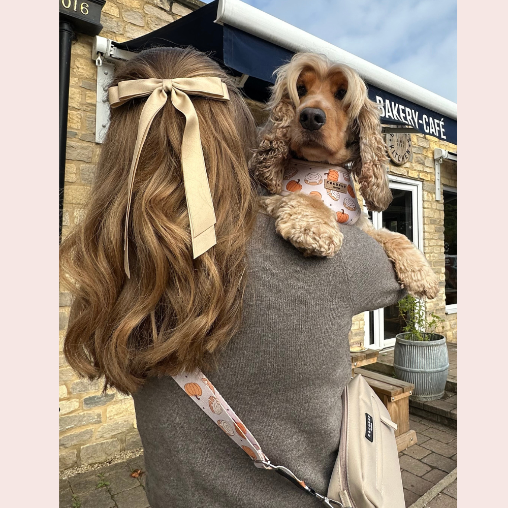 A person with long wavy hair tied with a large beige bow holds a brown and white dog in front of a stone bakery café. The dog sports a white bandana with orange patterns, reminiscent of Halloween decor. The person carries a beige bag featuring Cocopup London's "Bag Strap - Cinnamon Buns," whose strap pattern mirrors the dog's festive bandana, adding to the seasonal charm.