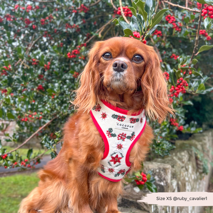 LUXE Embroidered Frosty Flower Harness