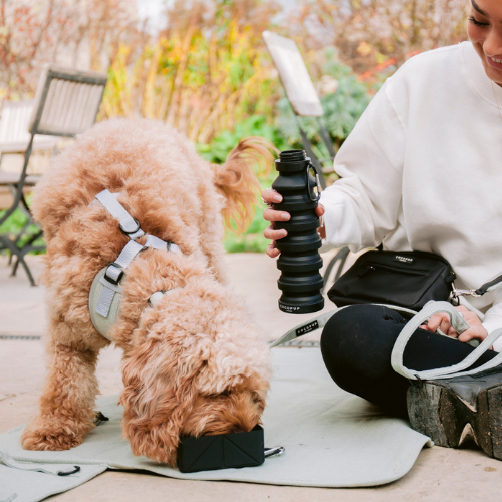 Bag Accessory Bundle - Black