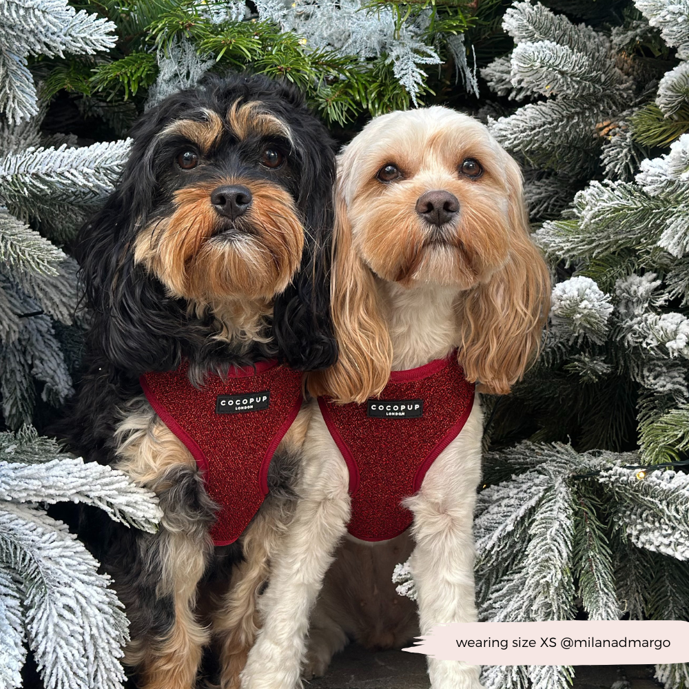 Limited Edition Burgundy Sparkle Pup Adjustable Neck Harness