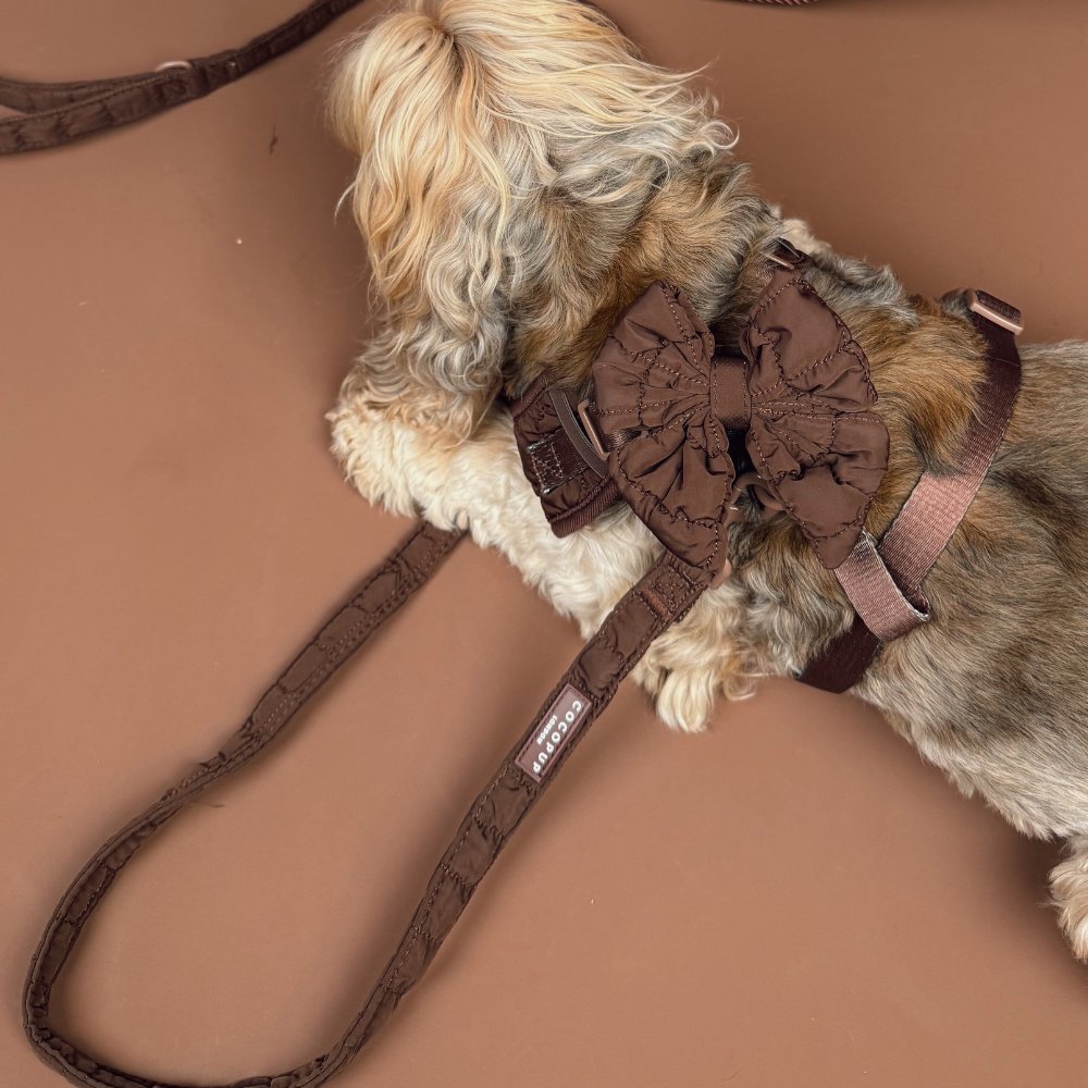 Espresso Quilted Lead