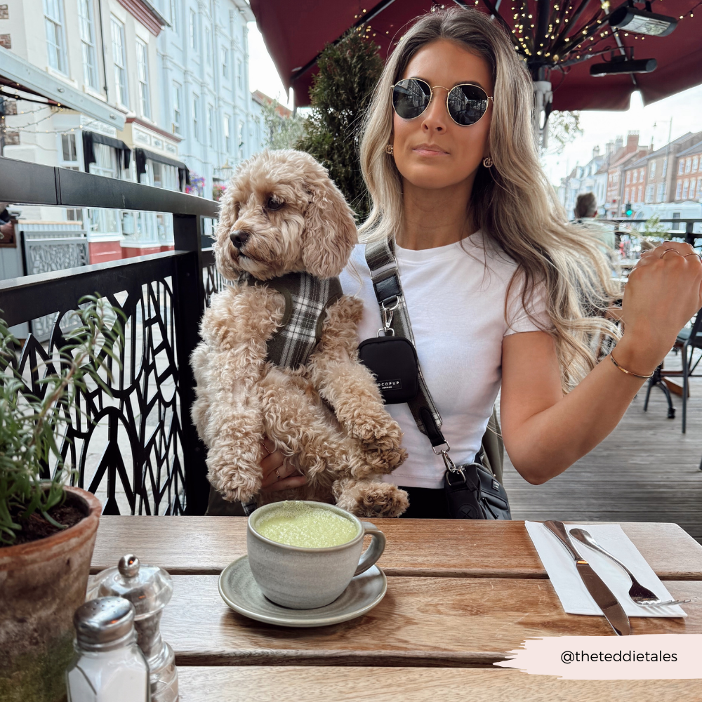 Dog Walking Bag Bundle - Olive Check