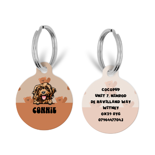 Personalised Dog Cartoon ID Tag - Theo Teddy