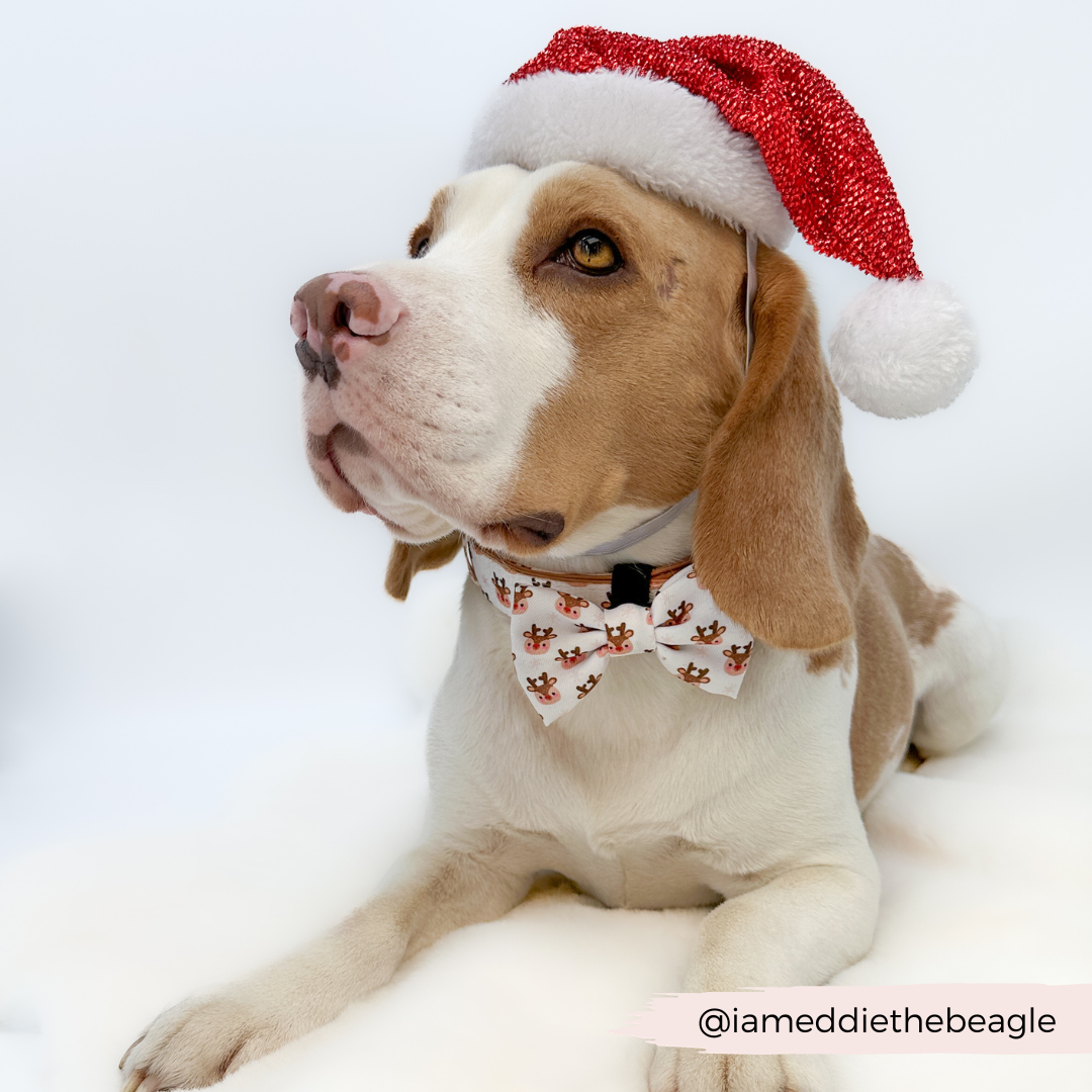 Ralphie Reindeer Bow Tie