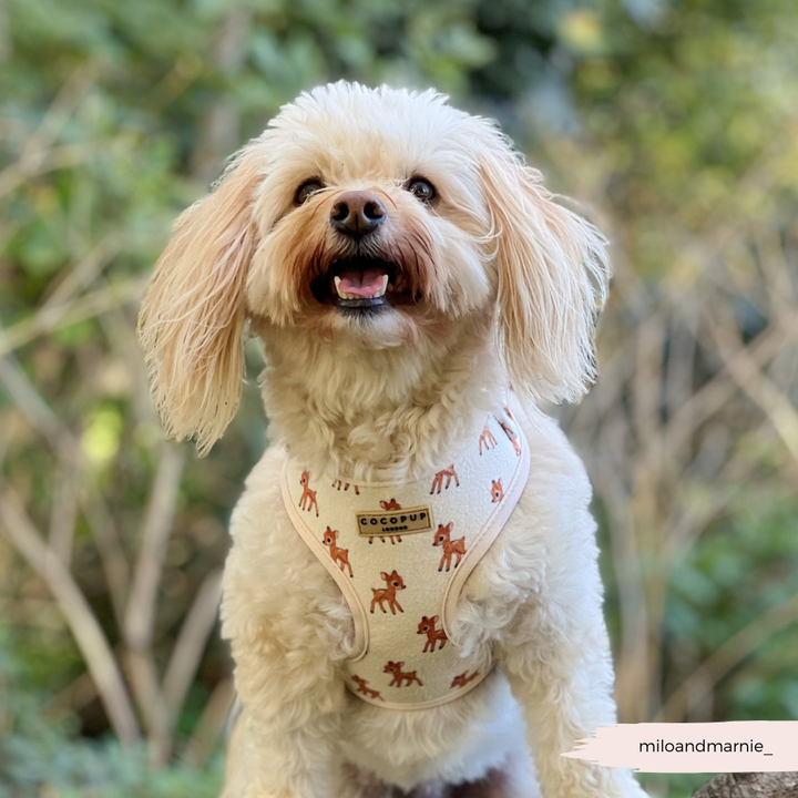 Fleecy Fawn Adjustable Neck HARNESS