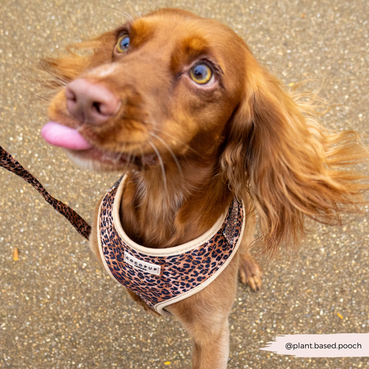 Quilted Leopard Pup Adjustable Neck Harness