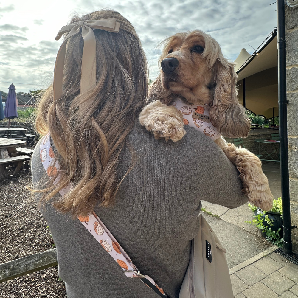 A woman with long, wavy hair tied with a bow stands outdoors holding a fluffy, golden-colored Cocker Spaniel over her shoulder. Both the woman and the dog are accessorized with Cocopup London's Bag Strap - Cinnamon Buns, featuring a cheerful pattern resembling cinnamon buns. The background shows outdoor seating and a partly cloudy sky.