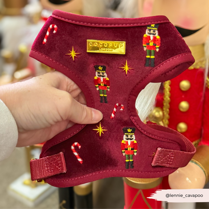 The Muttcracker Adjustable Neck Harness, Lead & Collar Bundle