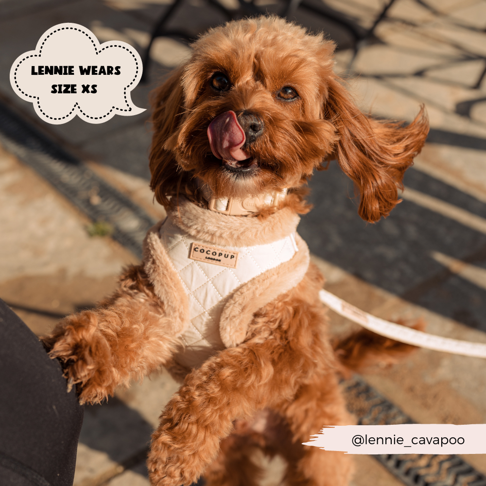 Cream Quilted Adjustable Neck Harness Lead Collar Bundle Cocopup London