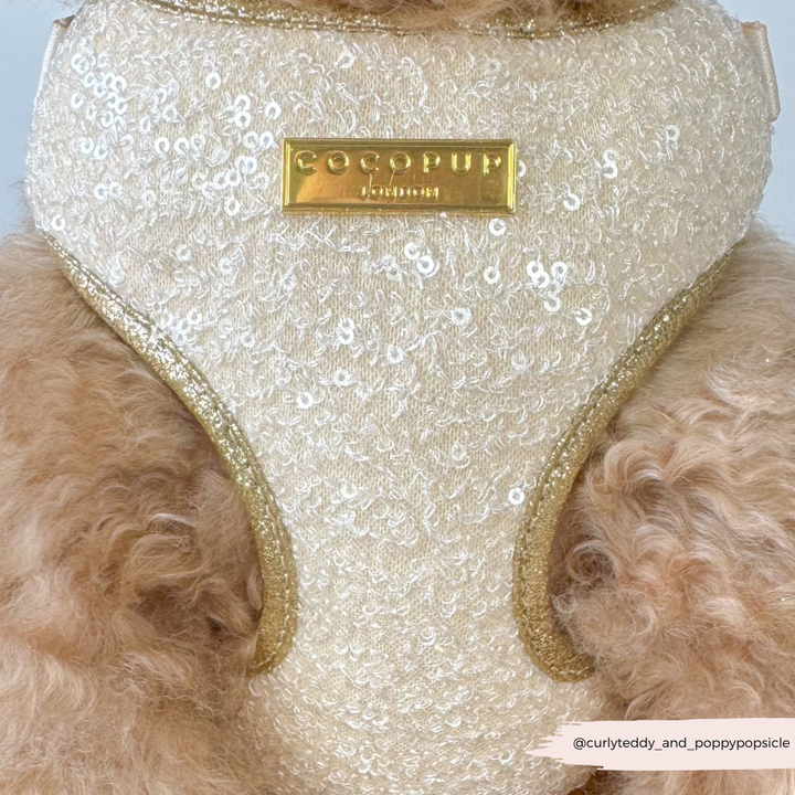 Limited Edition Sparkle Season Gold Adjustable Neck Harness, Lead & Collar Bundle