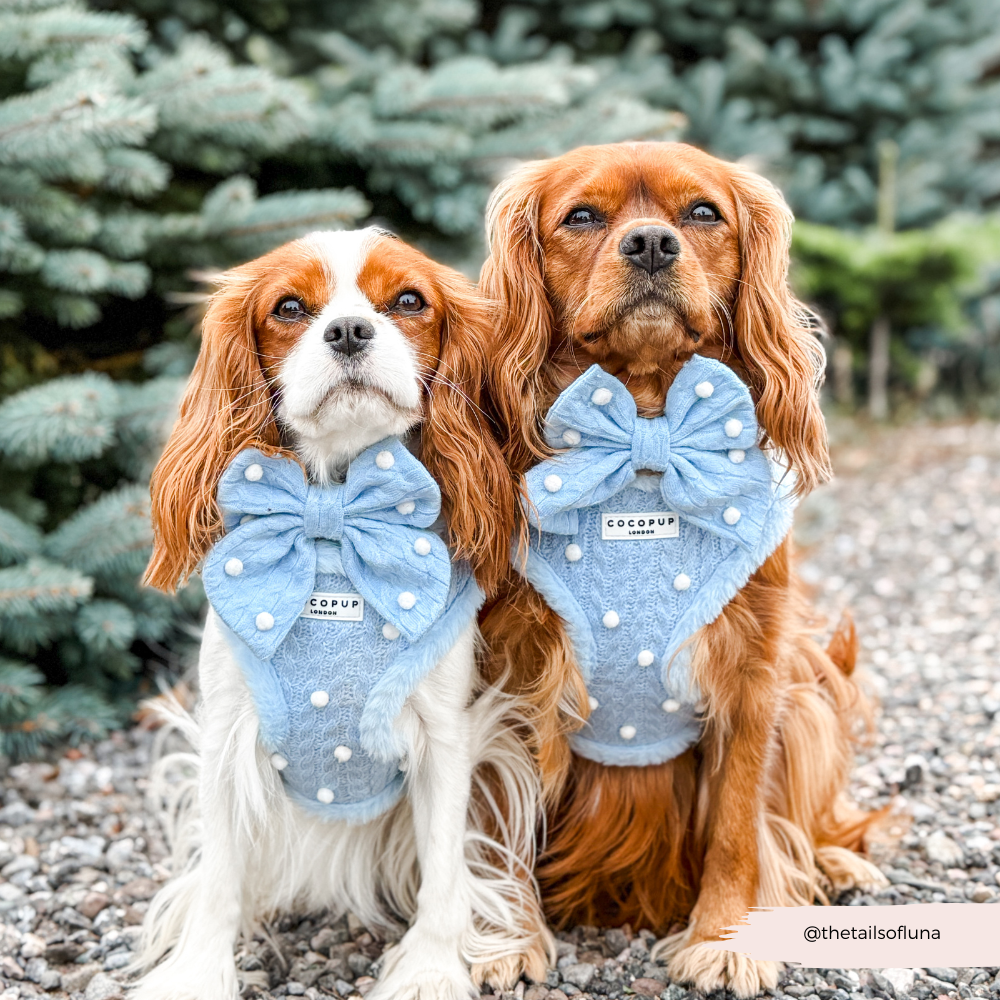 Snowpaws Sailor Bow Tie