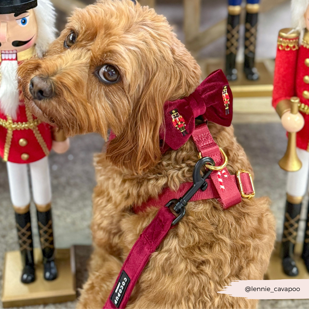 The Muttcracker Bow Tie