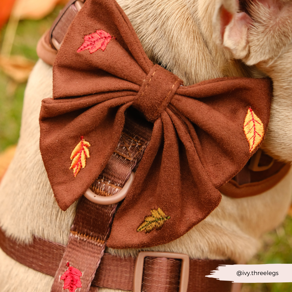 Pawtumn Leaves Sailor Bow Tie