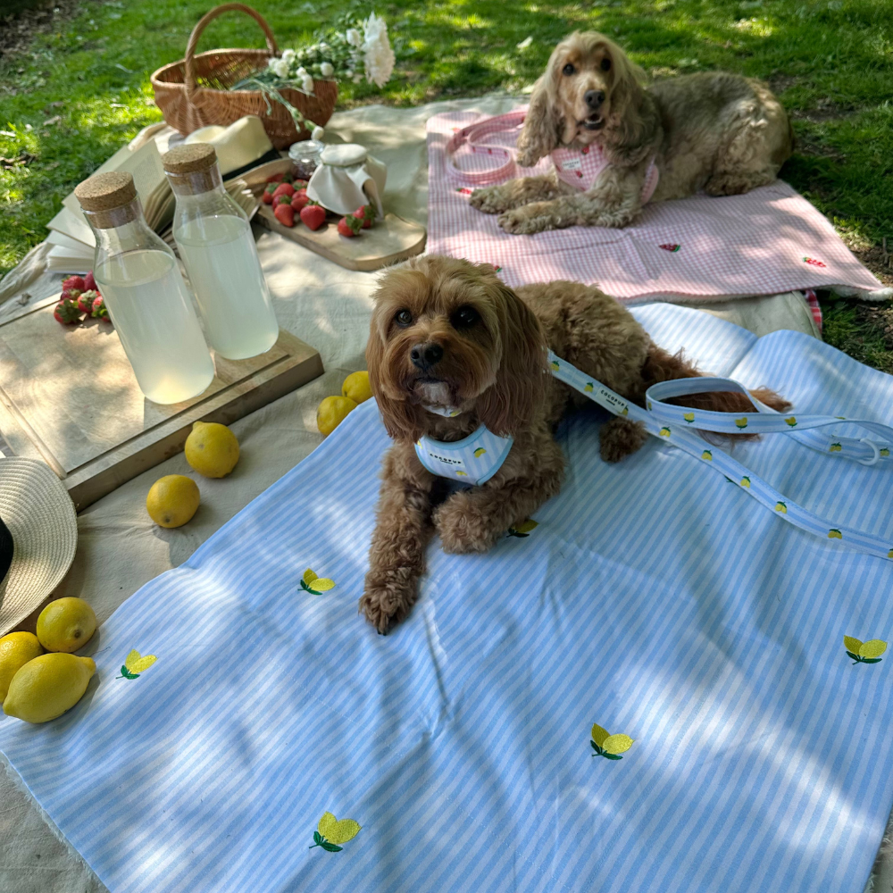 PERSONALISED Blanket - Strawberry Picnic Pup