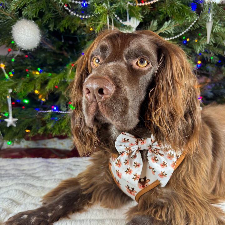 Ralphie Reindeer Sailor Bow Tie