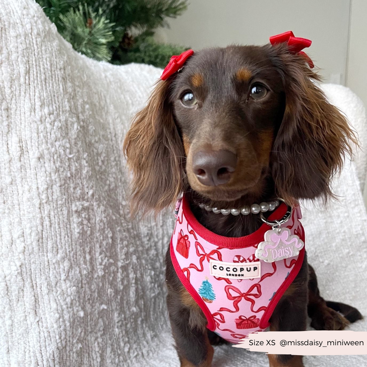 Pupmas Kisses Adjustable Neck Harness, Lead & Collar Bundle