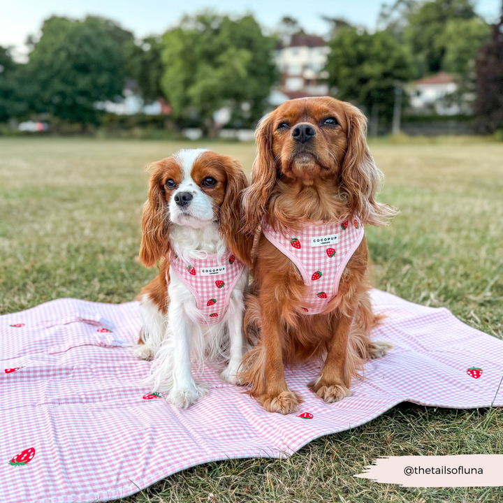 Travel Mat - Strawberry Picnic Pup