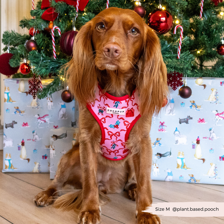 Pupmas Kisses Adjustable Neck Harness