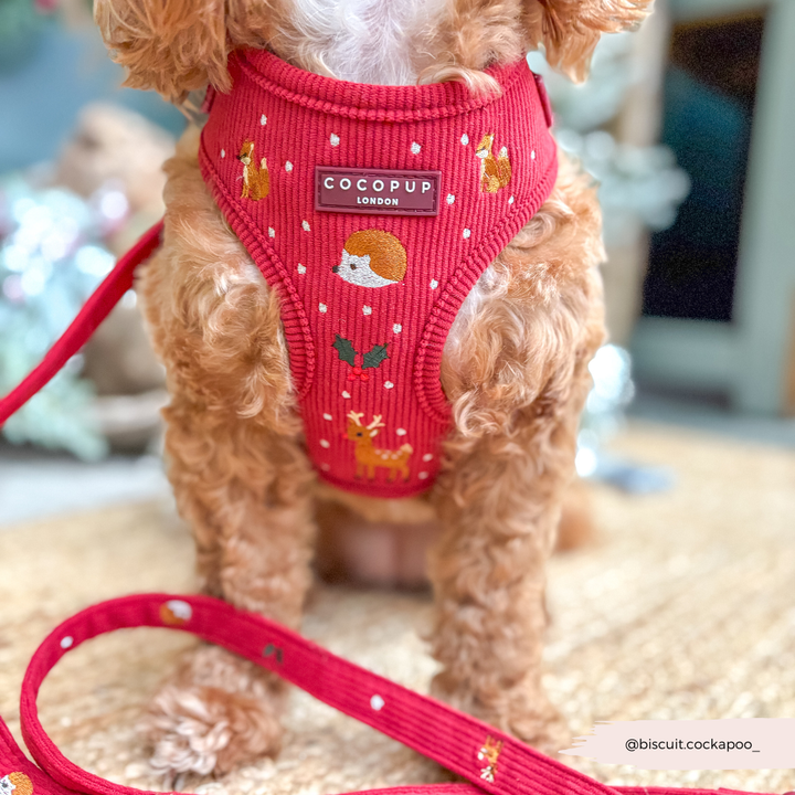 Holly Jolly Trails Adjustable Neck HARNESS