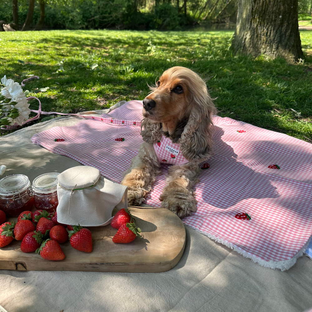 PERSONALISED Blanket - Strawberry Picnic Pup