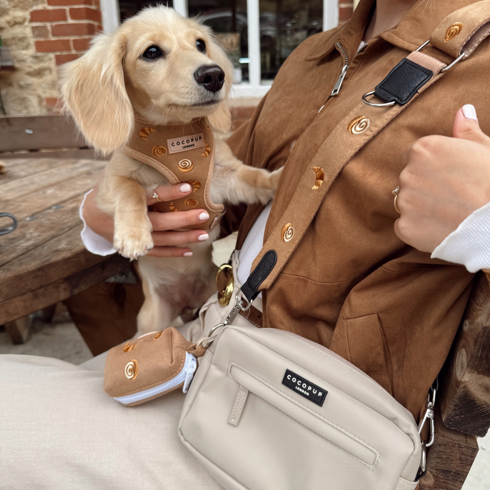 Dog Walking Caramel Latte Bag Bundle - Pawtisserie