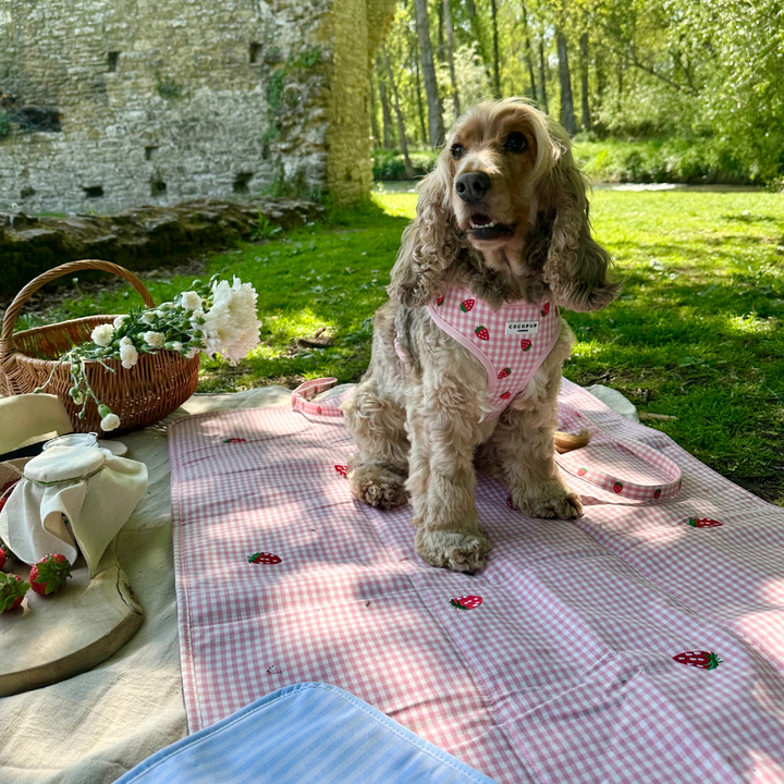Travel Mat & Blanket Set - Strawberry Picnic Pup