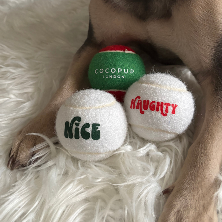 Limited Edition Christmas Tennis Ball - Naughty