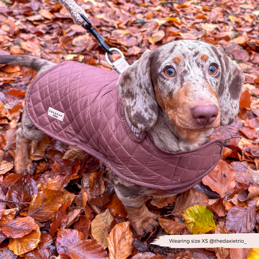 LUXE Quilted Dog Coat - Pup Plaid