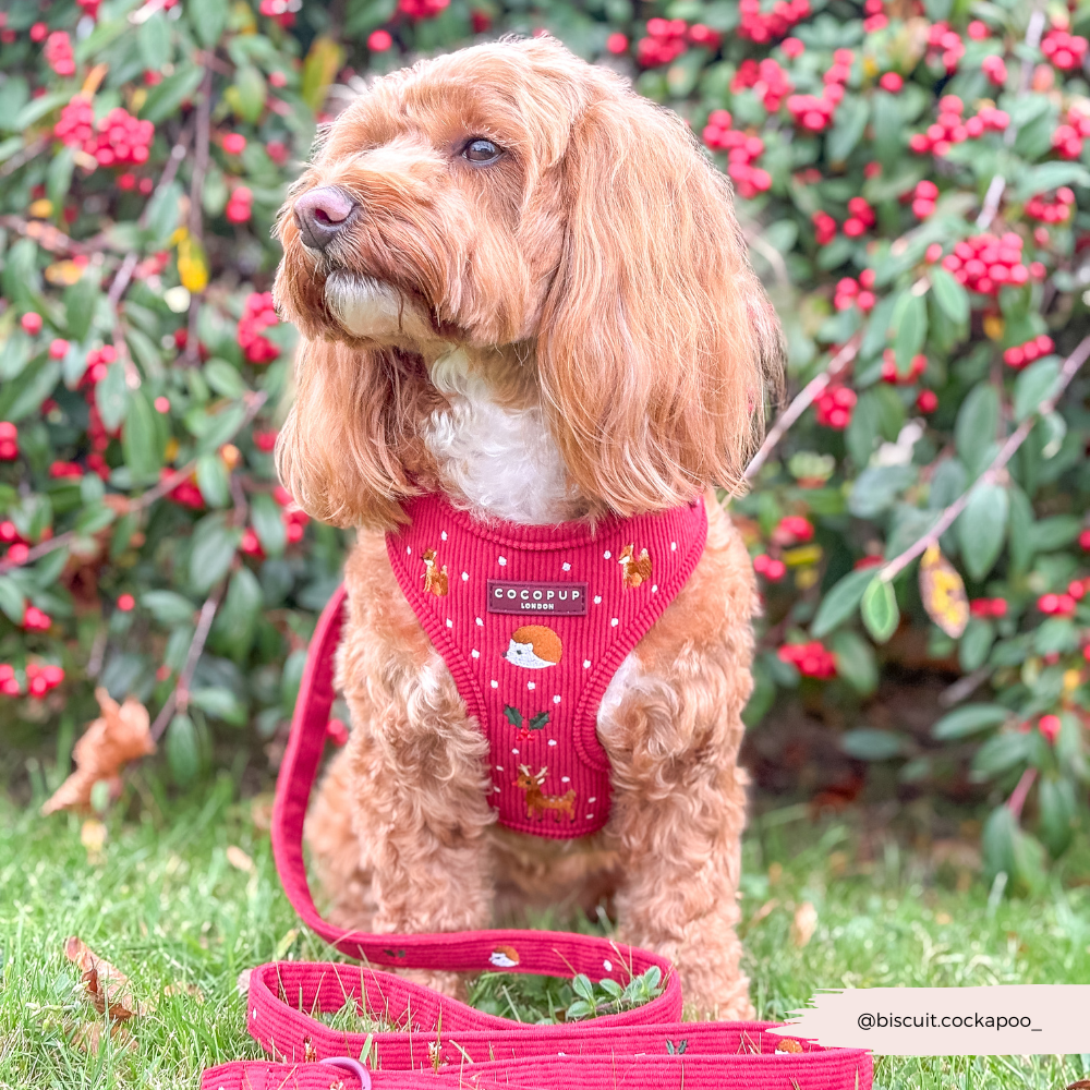 Holly Jolly Trails Adjustable Neck HARNESS