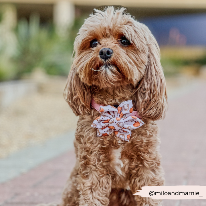 Cinnamon Buns Collar Flower