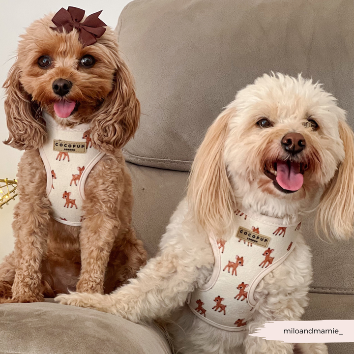 Fleecy Fawn Adjustable Neck HARNESS