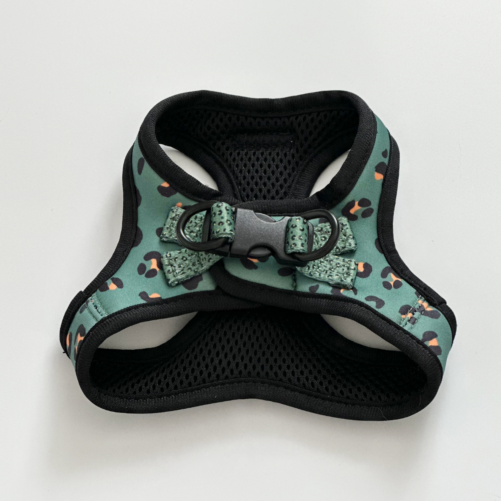 Cat Harness, Lead and Collar Bundle - Khaki Leopard