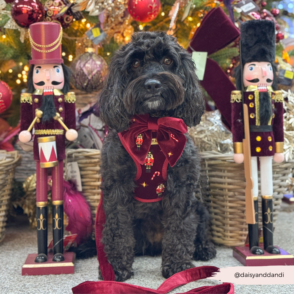 The Muttcracker Adjustable Neck HARNESS