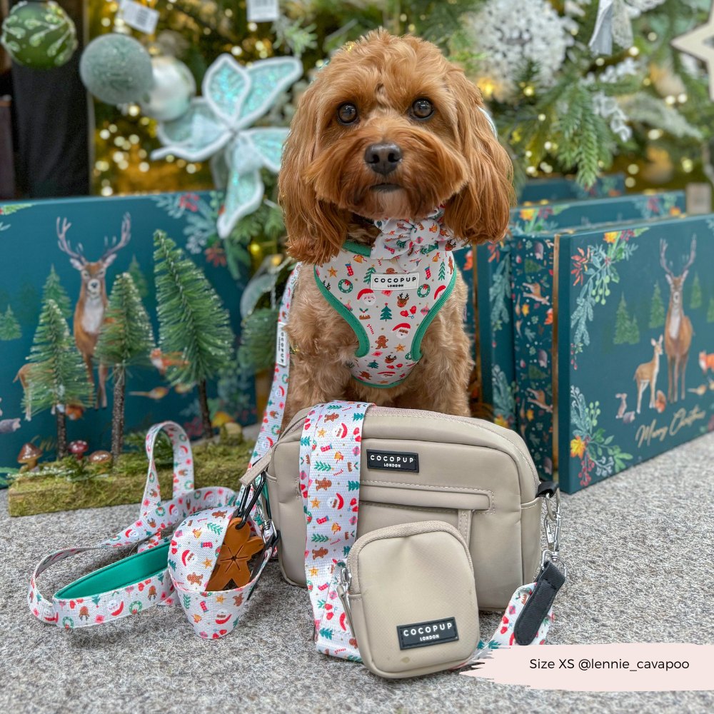 Dog Walking Bag Bundle - Christmas Pawty