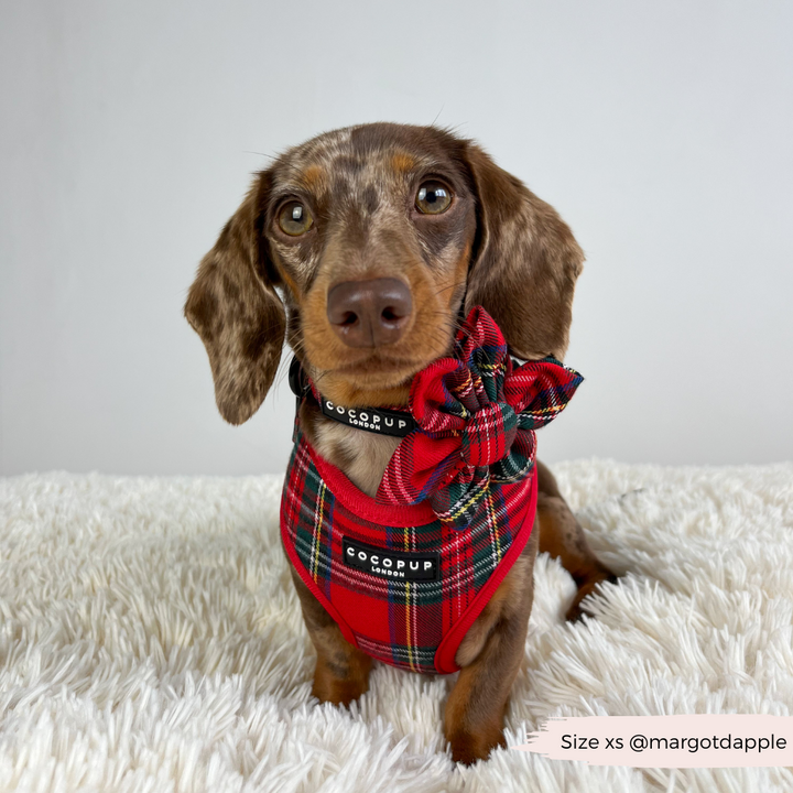 Tartan Adjustable Neck Harness