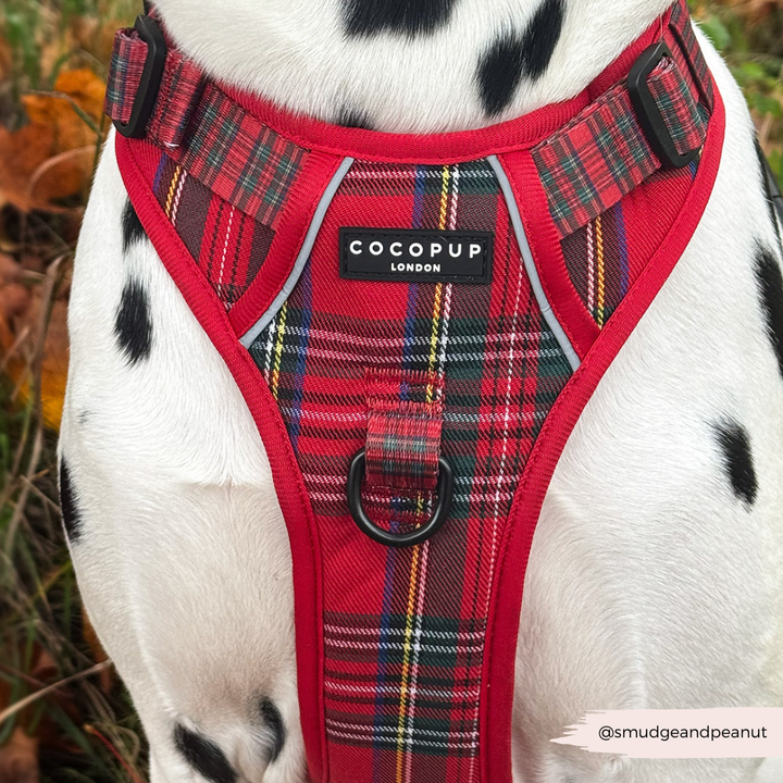 Explore Harness - Tartan